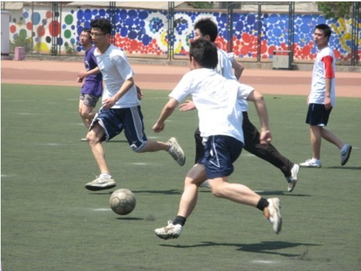 开出了25 开出了25